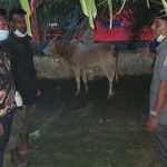 Gubernur Aceh serahkan dua ekor sapi untuk warga pengungsi dampak asap flaring PT Medco
