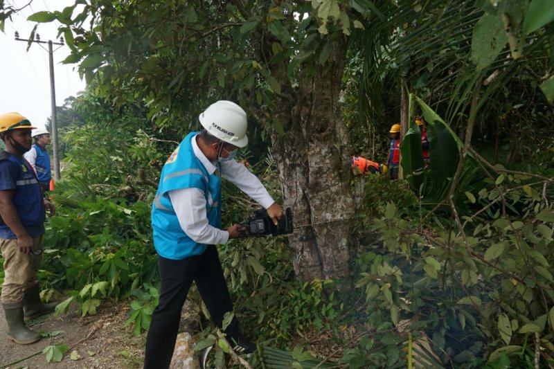 GM PLN Aceh turun tangan bersihkan jaringan listrik