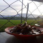 Rujak batok kelapa muda, cemilan khas Aceh