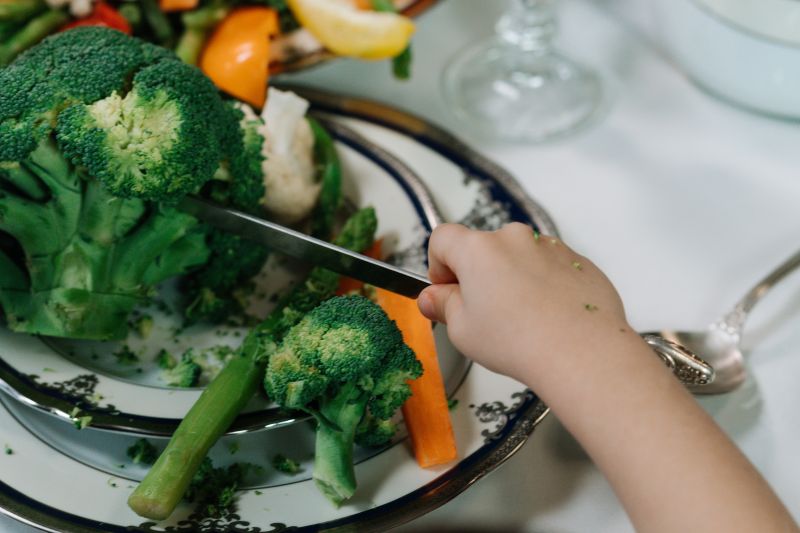 Tips bagi orang tua agar anak suka makan sayur