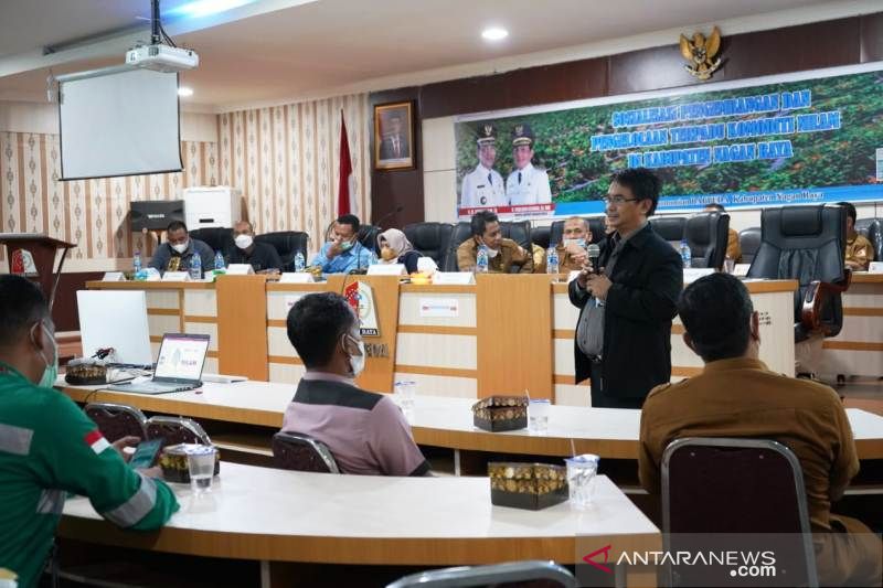 Nagan Raya miliki 1.000 hektar lahan nilam potensial