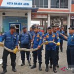 Ular Piton sepanjang 4 meter diamankan di Banda Aceh
