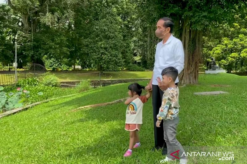 Presiden Jokowi dan dua cucunya habiskan tahun baru di Istana Bogor