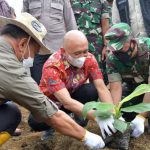 Menteri Koperasi dan UKM tanam pisang Cavendish di Aceh