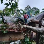 Lima rumah warga di Aceh Jaya hancur tertimpa pohon tumbang