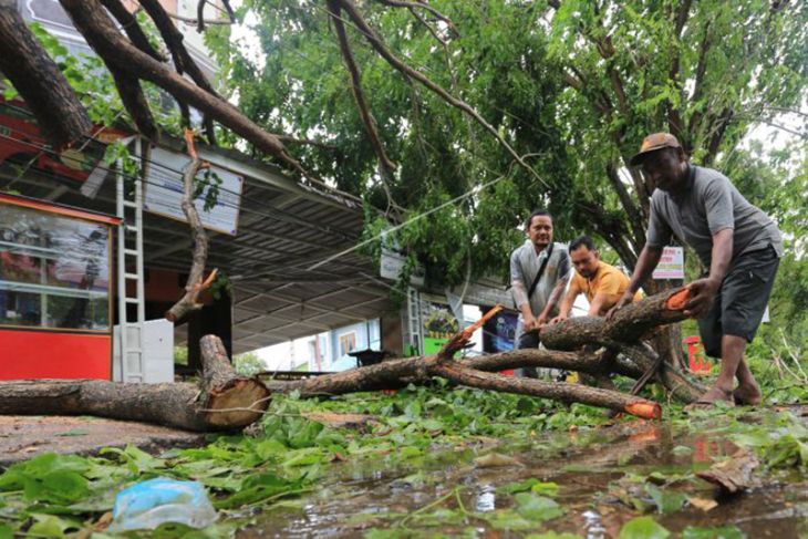 Masyarakat Simeulue diminta waspadai cuaca ekstrem