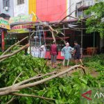 Angin kencang terjang Banda Aceh, satu warga tertimpa pohon