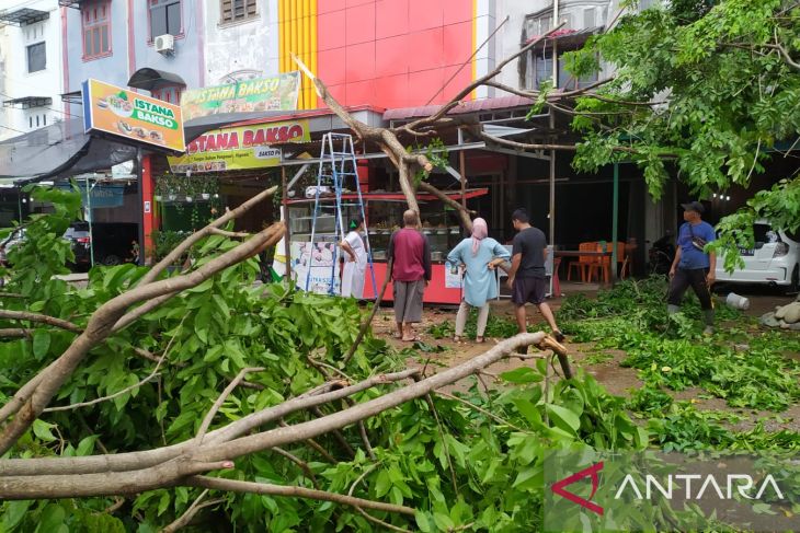 Angin kencang terjang Banda Aceh, satu warga tertimpa pohon