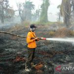 BMKG ingatkan potensi kebakaran lahan di wilayah timur Aceh