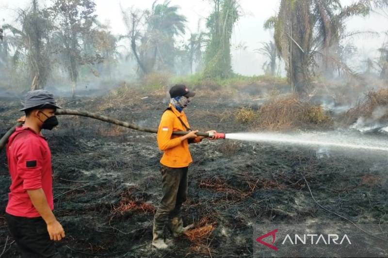 BMKG ingatkan potensi kebakaran lahan di wilayah timur Aceh
