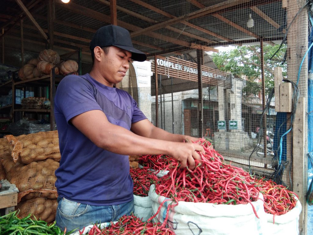 Harga cabai merah di Aceh Besar berangsur turun