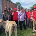 PDIP Aceh baksos pengobatan ternak di Aceh Jaya