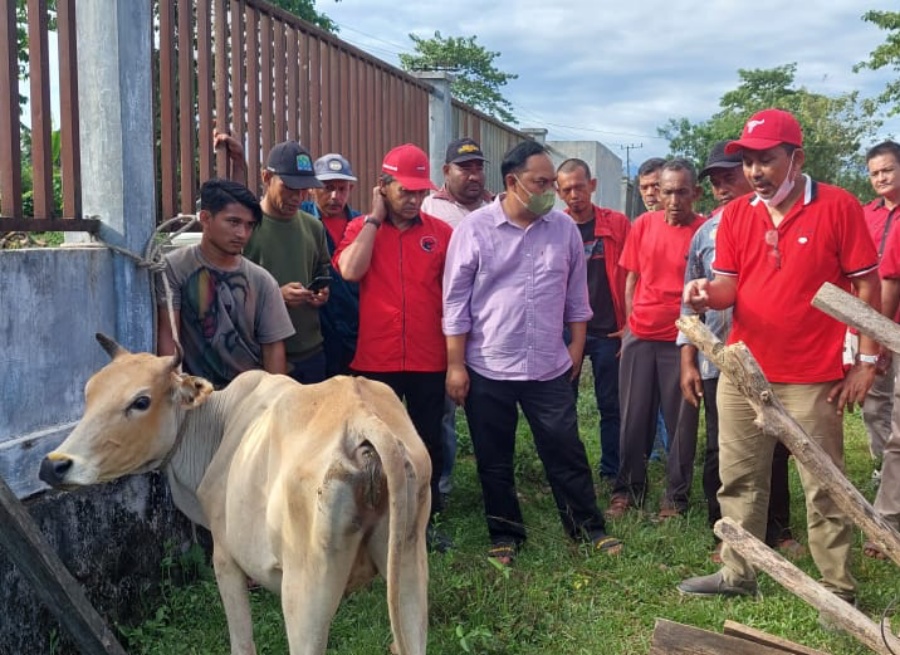 PDIP Aceh baksos pengobatan ternak di Aceh Jaya