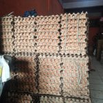 Harga telur ayam di Aceh mengalami kenaikan