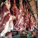 Tips simpan daging kurban agar tahan lama