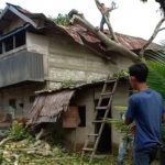 Rumah rusak ditimpa pohon akibat angin kencang