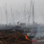 BPBA: 68 hektare lahan Aceh terbakar selama kemarau