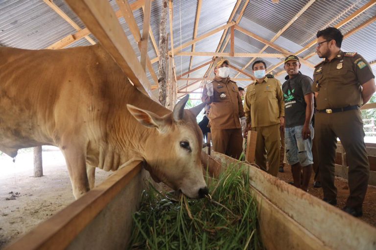 Ini perintah Pj Bupati Aceh Besar kepada Kadis Distan