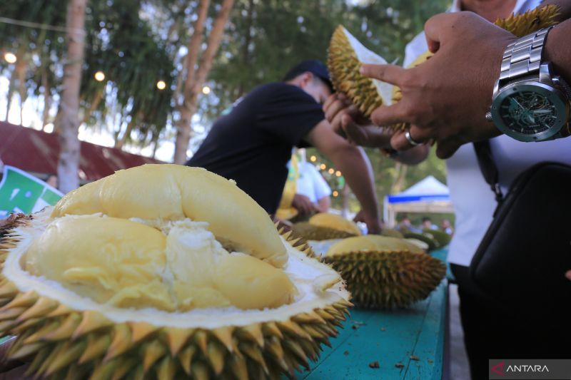 Durian bantal raih juara pertama festival durian