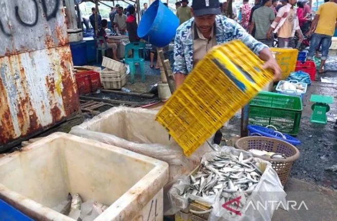 Ikan tongkol tangkapan nelayan Aceh Timur capai 2.546 ton