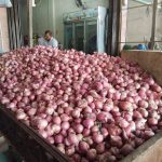 Harga bawang merah di Aceh Besar mengalami penurunan, ini penyebabnya