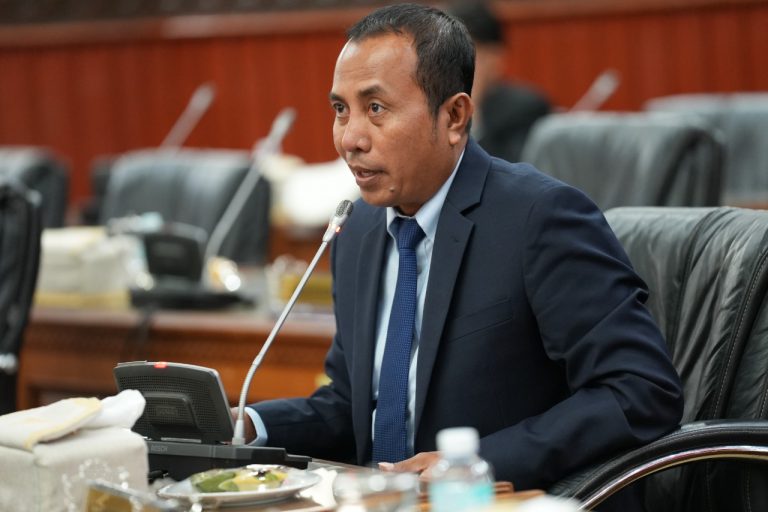 DPRA minta BNPB tetapkan abrasi di Abdya sebagai bencana nasional