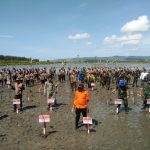 Polda Aceh tanam 77 ribu bibit mangrove di usia 77 tahun kemerdekaan RI
