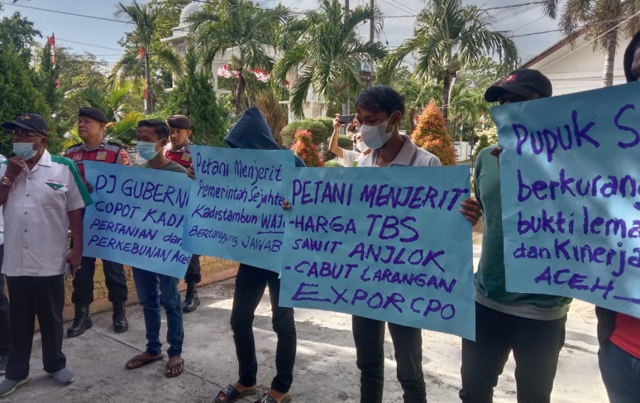 Aliansi Pemuda Tani demo minta Kadis Pertanian Aceh di copot