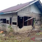 Lima ekor gajah rusak rumah dan kebun warga di Nagan Raya