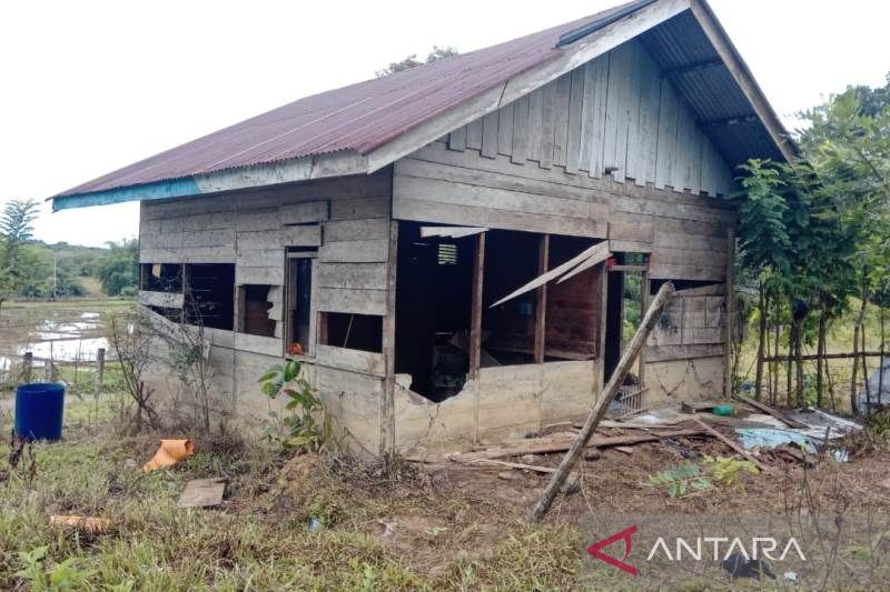 Lima ekor gajah rusak rumah dan kebun warga di Nagan Raya