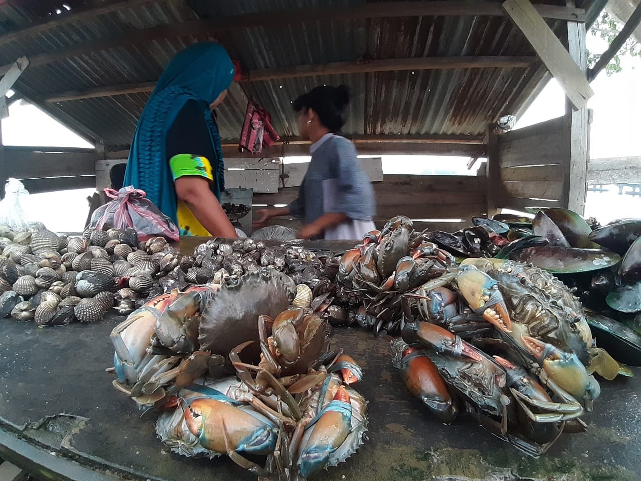 300 kg kepiting Aceh diekspor ke Thailand setiap hari