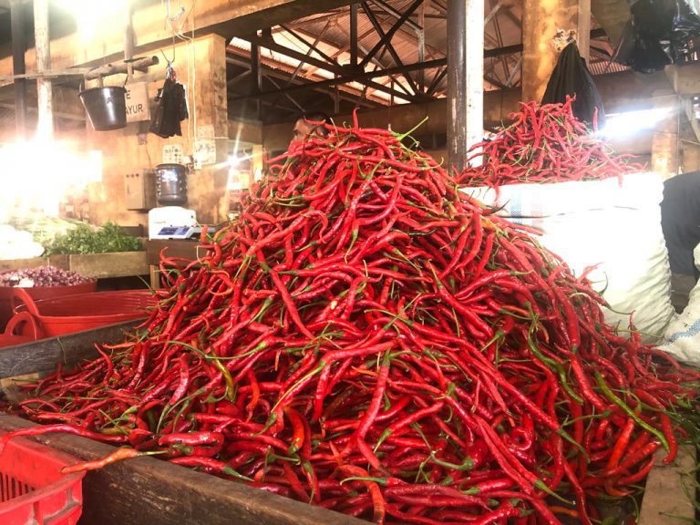 Aceh surplus cabai merah