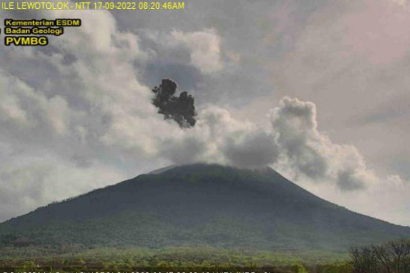 Aktivitas erupsi Gunung Ili Lewotolok di Lembata meningkat