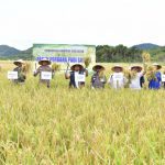 Pemkab Aceh Besar tekad perkuat sektor pertanian