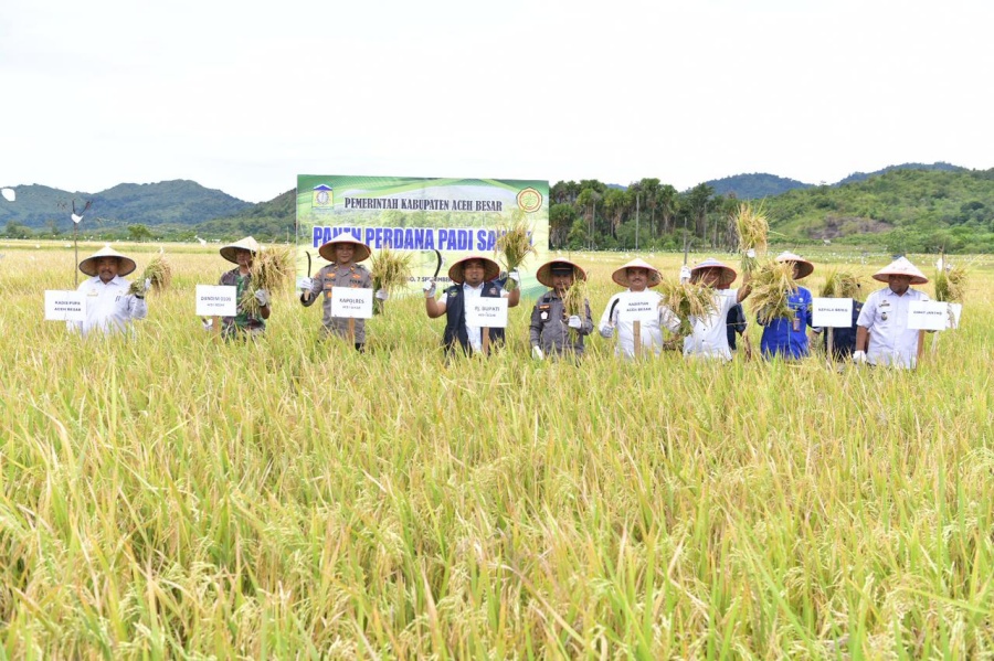 Pemkab Aceh Besar tekad perkuat sektor pertanian