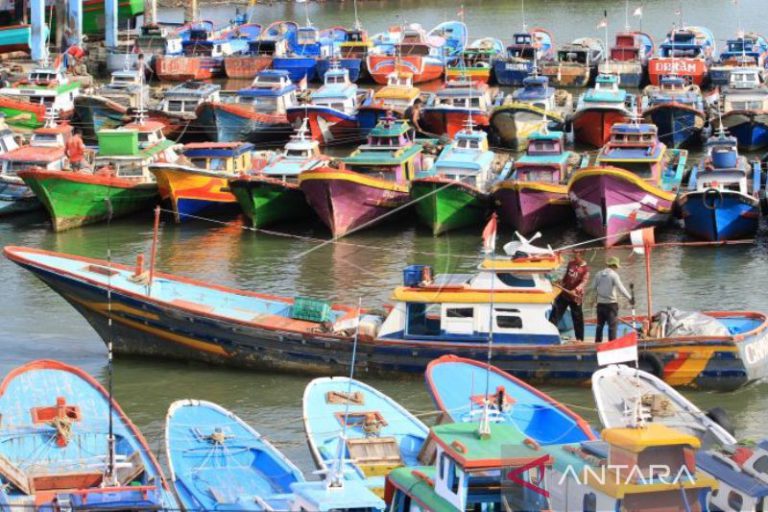 Persediaan ikan di Banda Aceh menipis akibat cuaca buruk