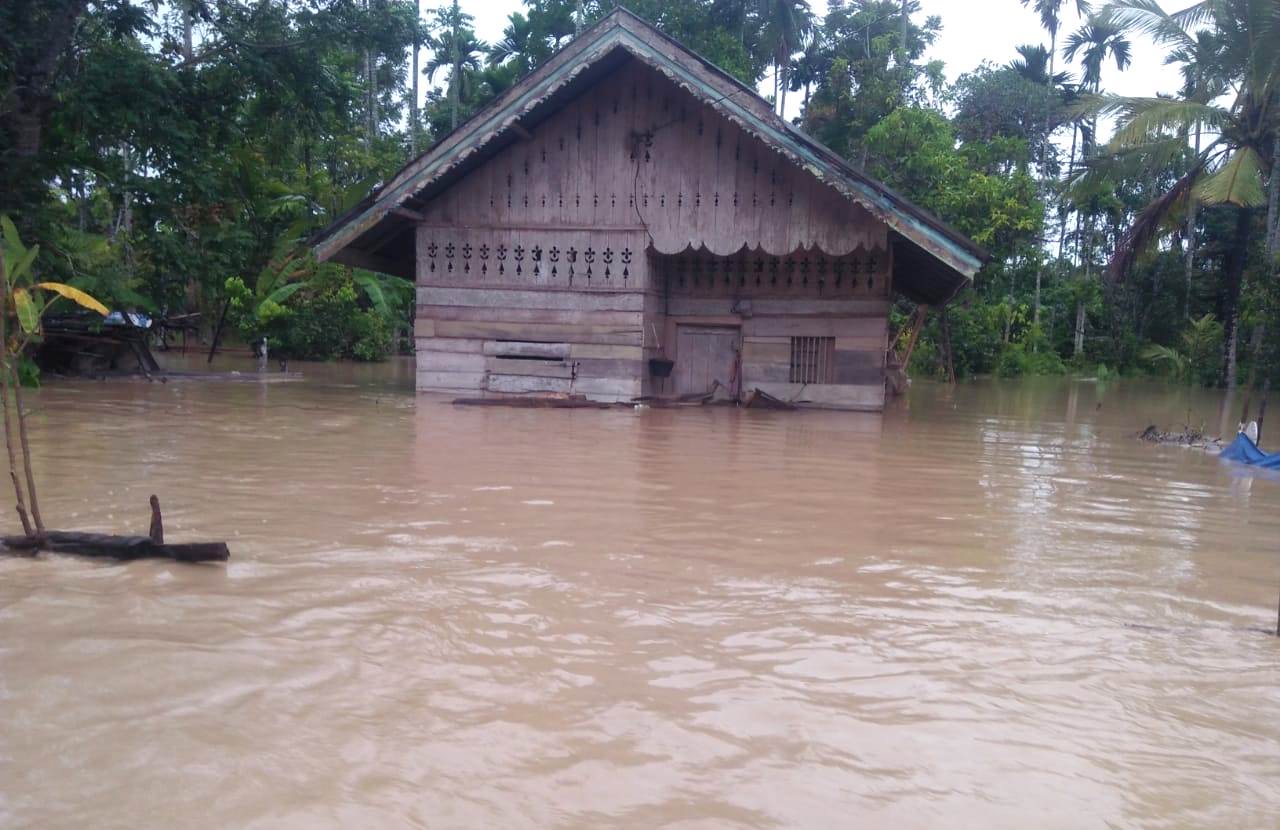 Banjir kepung tujuh kecamatan di Aceh Utara