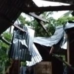 Tiga rumah di Aceh Timur rusak ditimpa pohon