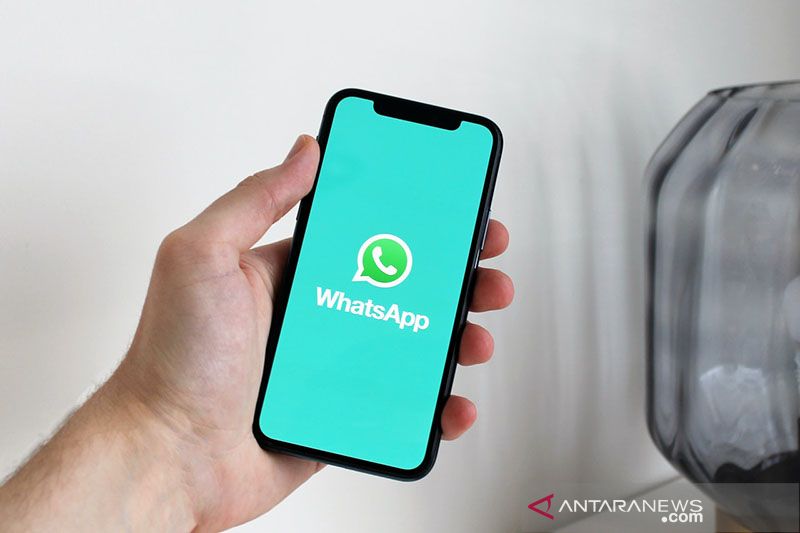 WhatsApp "down" tak bisa diakses hingga tak bisa kirim pesan