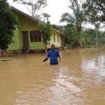 Ribuan pengungsi banjir Aceh Timur kembali ke rumah