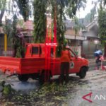 Angin kencang putuskan jaringan listrik di Jawa Timur