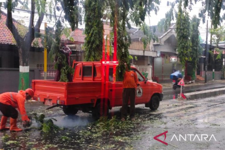 Angin kencang putuskan jaringan listrik di Jawa Timur
