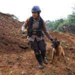 Polisi kerahkan anjing pelacak cari korban gempa Cianjur