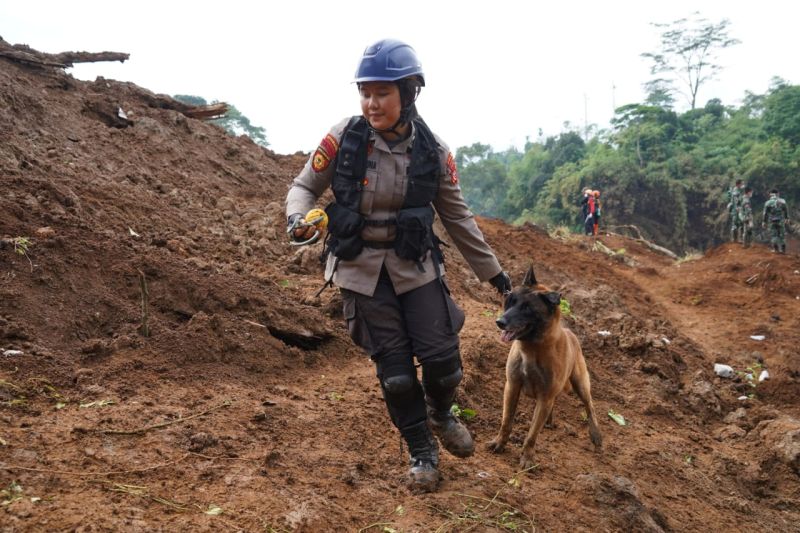 Polisi kerahkan anjing pelacak cari korban gempa Cianjur