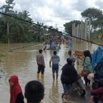 Banjir masih rendam Aceh Timur, pengungsi capai 3.145 jiwa