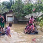 Delapan rumah di Aceh Timur rusak akibat banjir