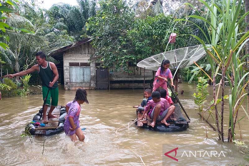 Delapan rumah di Aceh Timur rusak akibat banjir