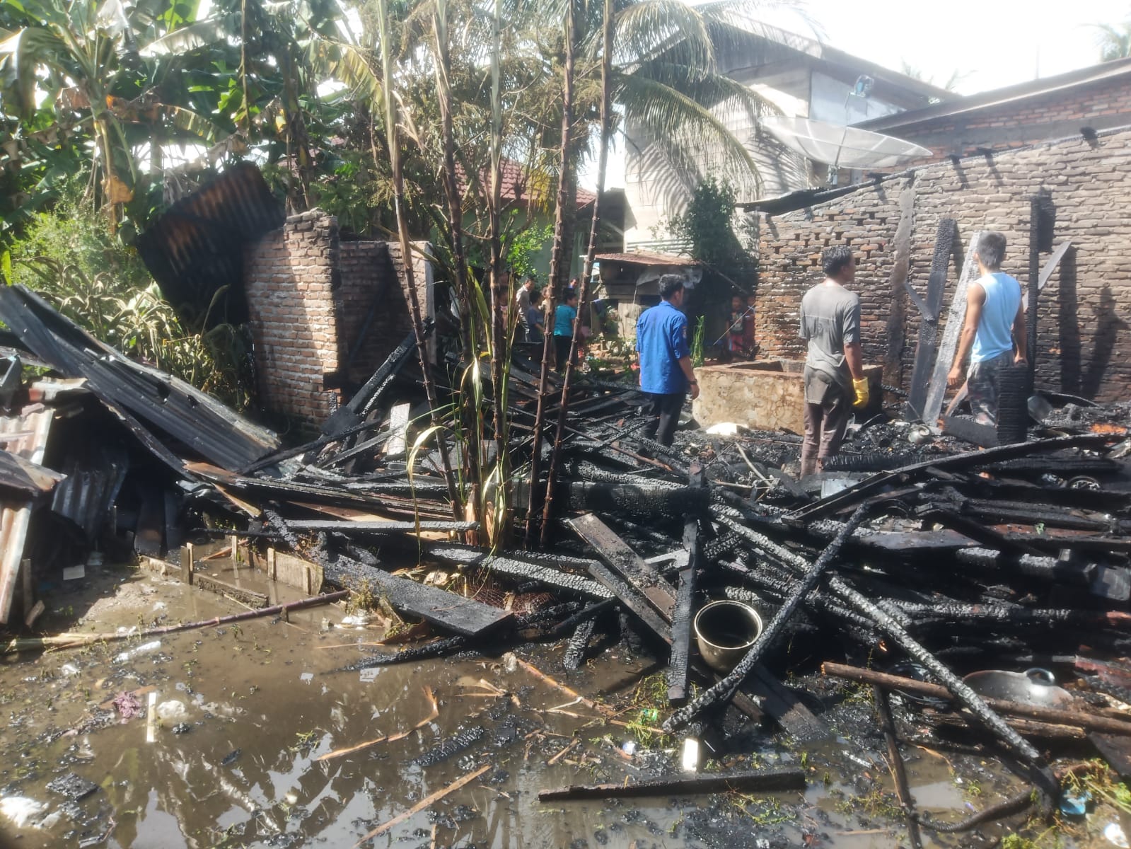 Si jago merah lahap tiga rumah di Subulussalam