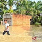 858 warga Aceh Tamiang mengungsi akibat banjir