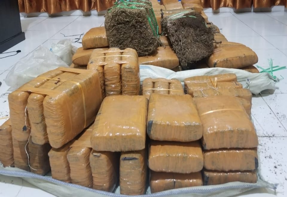 Polda Aceh tangkap DPO kasus narkoba di Medan